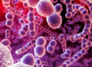 В США женщина скончалась от вируса, устойчивого ко всем известным антибиотикам