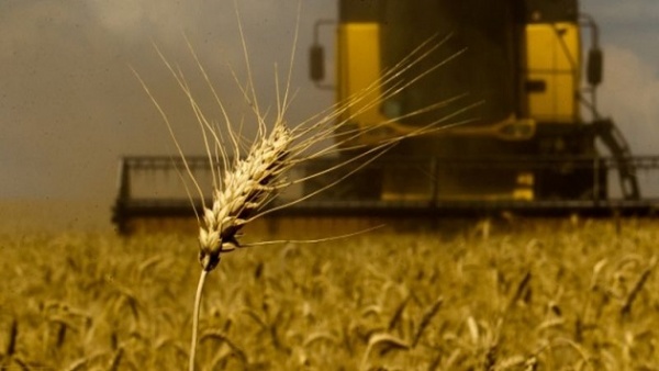 Беларусь и Украина договорятся о производстве сельхозтехники