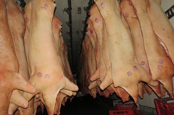 В Крым не пустили почти 19 тонн сомнительной украинской свинины