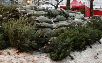 Новокаховчан просят передать новогодние елки в зверинец