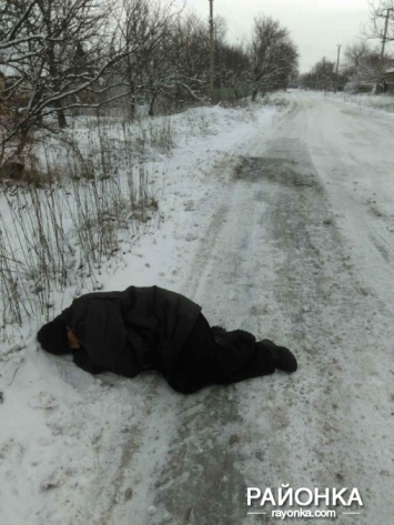 В Запорожской области посевальщики уснули на дороге (Фото)