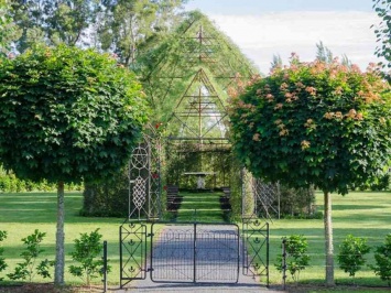 В Новой Зеландии мужчина создал храм из деревьев