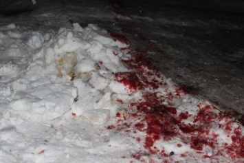 Кровавые разборки: бандиты напали на толпу на Житомирщине