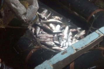 Пограничники задержали в Мариуполе резиновую лодку с браконьерами и пеленгасом (ФОТО)