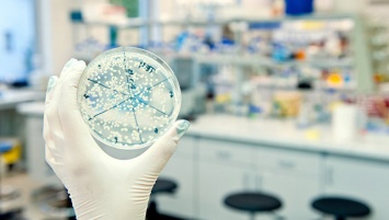 Минздрав США рассказал о смерти женщины от неуязвимой бактерии