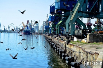 В Николаевском морском порту объявили, что стивидоры им должны 100 миллионов
