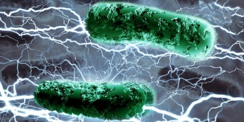 Ученые научились подключать бактерии к электронным устройствам