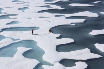 К 2100 году Антарктика может лишиться своих льдов, что приведет к ускорению