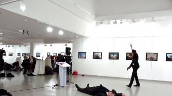 В Турции задержали организатора выставки, на которой убили посла России