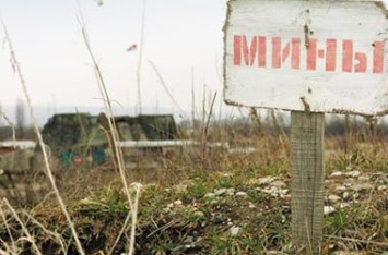 В 20 км от оккупированного Луганска в Желтом на мине подорвался мужчина с собакой