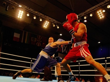На ринг: в Харькове хотят провести Чемпионат Европы по боксу