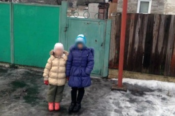 26-летнюю горе-мать из Покровска, которая избивала своих дочерей, не стали лишать родительских прав