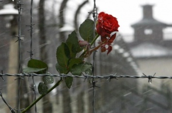 Как пройдет Международный день памяти жертв Холокоста в Днепре