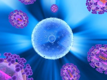 Ученые нашли способ защиты иммунной системы