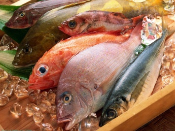 В Украине установлены квоты на вылов рыбы