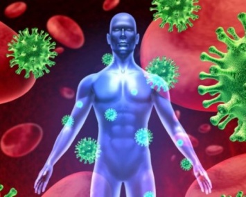 Ученые выяснили механизмы защиты иммунной системы
