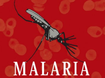 В Запорожье завезли малярию из Африки