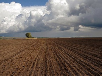 Украина и Литва усилят сотрудничество в аграрной сфере