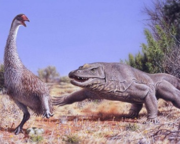 Люди истребили всех гигантских животных в Австралии - ученые