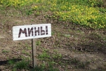 ОБСЕ обнаружили мины на дороге около мариупольского поселка