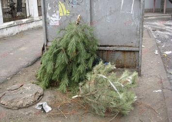 Бердянцы массово избавляются от новогодних елок