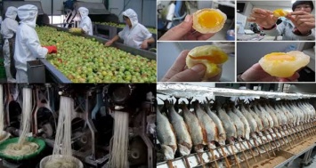 Пищевые продукты из Китая, наполненные пластиком, пестицидами и вызывающими рак химическими веществами!