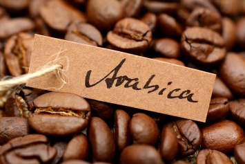 Ученые секвенировали геном кофе арабика