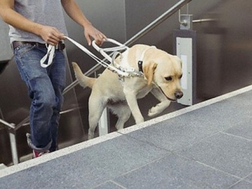 В Уфе слепого вынудили оплатить билет за собаку-поводыря