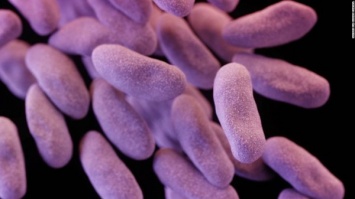 Ученые сделали огромный шаг с борьбе с супербактериями