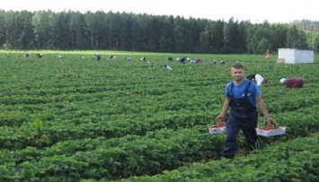 В Польше не хватает рабочих рук