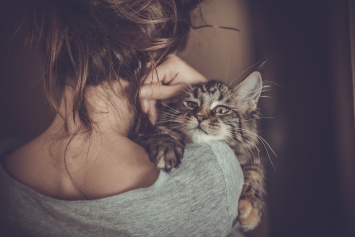Ученые выяснили, что кошки провоцируют ПМС у женщин