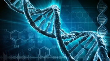 Ученые научились изучать ДНК при помощи смартфона