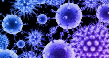 Эпидемия трех вирусов способна привести к уничтожению человечества - ученые