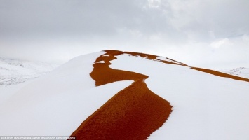 Снеговики и санки в Сахаре: 10 небывалых фото снежной Африки