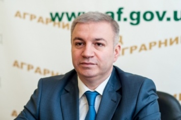 Радченко рассказал, почему Аграрный фонд не заинтеерсует инвесторов