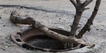 На Урале школьница провалилась в канализационный люк, убегая от бродячих собак