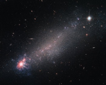 Ученые зафиксировали галактику, которая имеет схожести с кометой