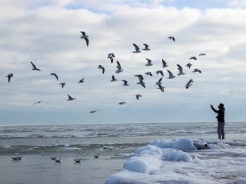 Одесское побережье покрылось льдом: смотри фото
