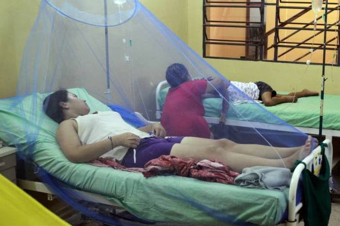 В Приамурье зарегистрированы три случая лихорадки Денге