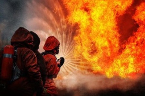 причиной последнего лесного пожара в зоне отчуждения под Чернобылем был умышленный поджог