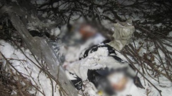 В Чернигове контрактник убил своего сослуживца (фото)