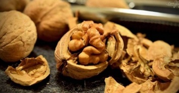 8 полезных свойств грецких орехов для кожи и волос