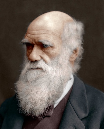 208 лет прошло с тех пор, как на свет появился Чарльз Дарвин
