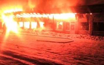 Запорожские спасатели опубликовали фото вчерашнего масштабного пожара