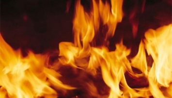 На востоке Австралии - рекордная жара: бушуют пожары