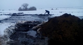 В Госэкоинспекции подсчитали в гривнах убытки, причиненные разливами нефтеводяной смеси в Ахтырском районе