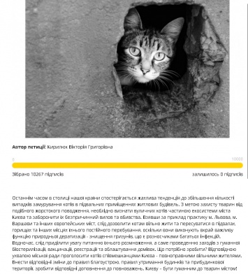 У Кличко признают котов частью экосистемы города и разрешат жить в подвалах