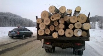 На Сумщине загнали на штраф-площадку грузовик с древесиной (+фото)