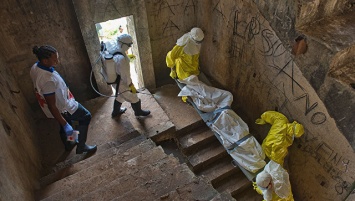 Ученые открыли загадочную группу "супер-разносчиков" лихорадки Эбола