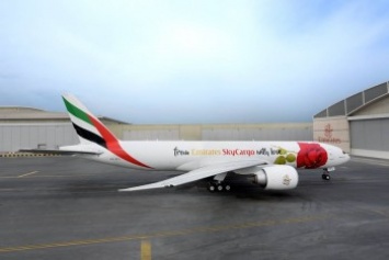 Самолет Emirates получил специальную ливрею ко Дню влюбленных (видео)